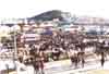 feriapeque.jpg (8683 bytes)