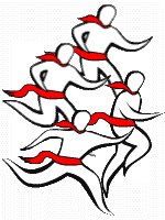 encierro.gif (4980 bytes)