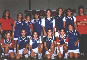 minifem.jpg (27410 bytes)