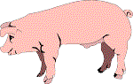cuto01.gif (4024 bytes)